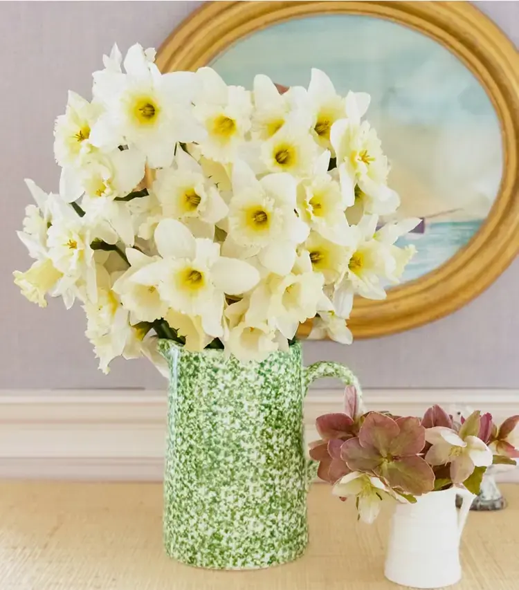 Spongeware Pitcher - Image 3